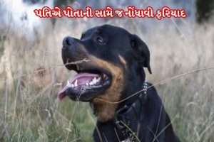 narmada street dog bite wife husband filed fir against hisself